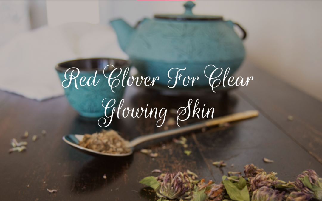 Red Clover Tea For Clear Glowing Skin